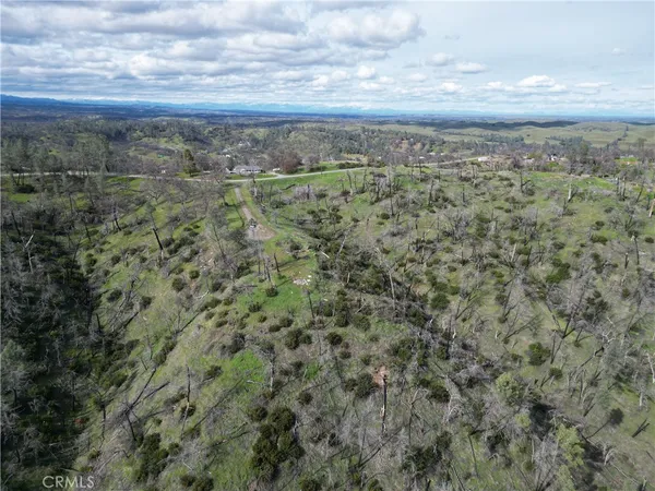 a view of a lush green forest with lush green forest