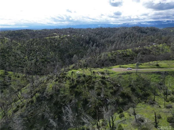 a view of a yard with wooden fence