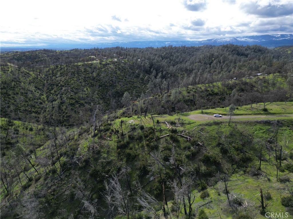 7074 Sugar Pine Court Corning, CA 96021 - Photo 18 of 25 a view of a lush green forest with lush green forest