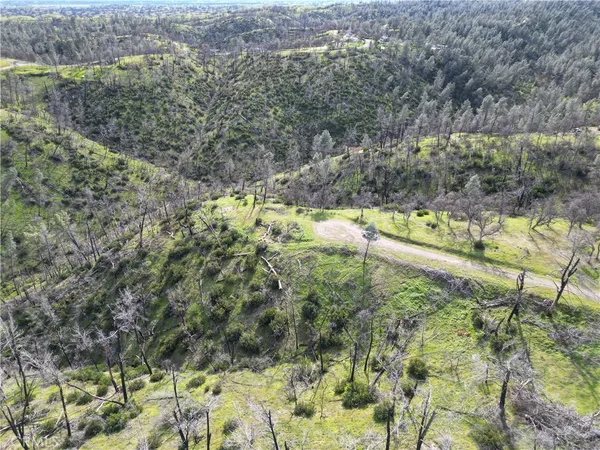 a view of a field with trees in the background
