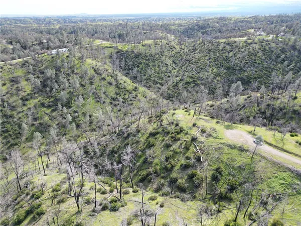 an aerial view of forest
