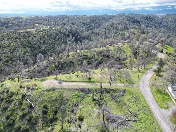 a view of a city with lush green forest