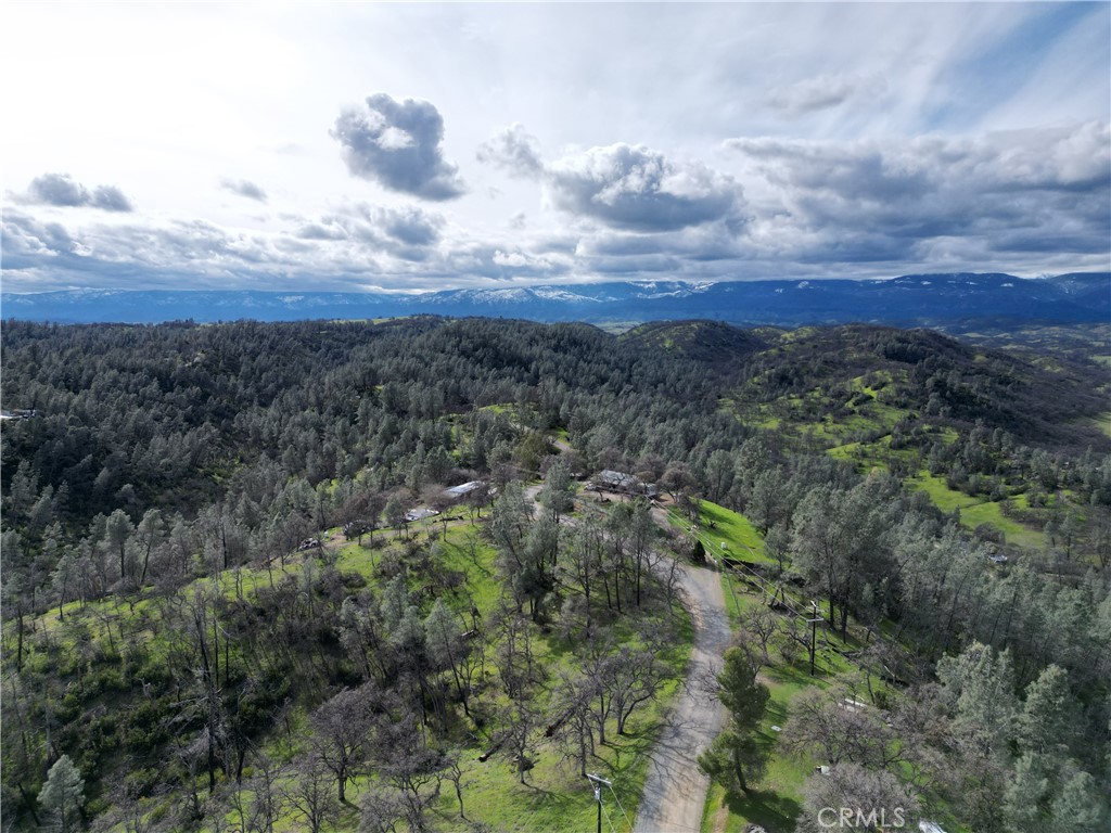 7074 Sugar Pine Court Corning, CA 96021 - Photo 23 of 25 a view of a city with lush green forest