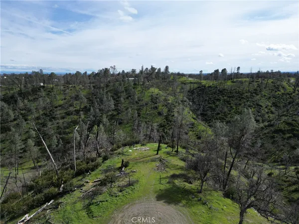 a view of a city with lush green forest