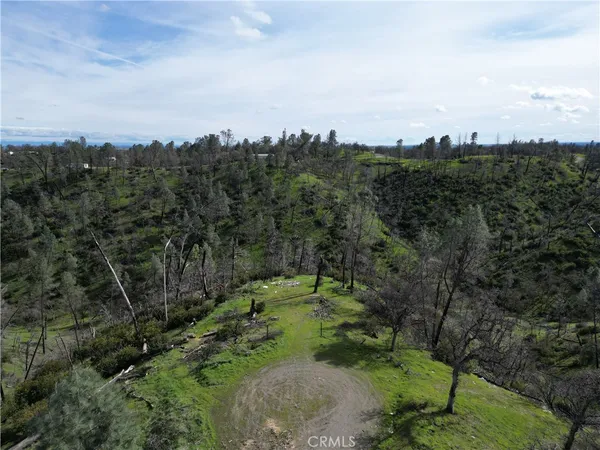a view of a city with lush green forest
