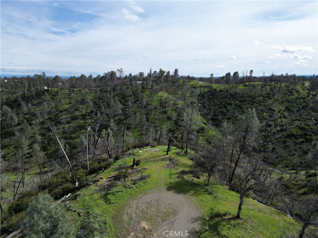 7074 Sugar Pine Court Corning, CA 96021 - Photo 4 of 25 a view of a city with lush green forest