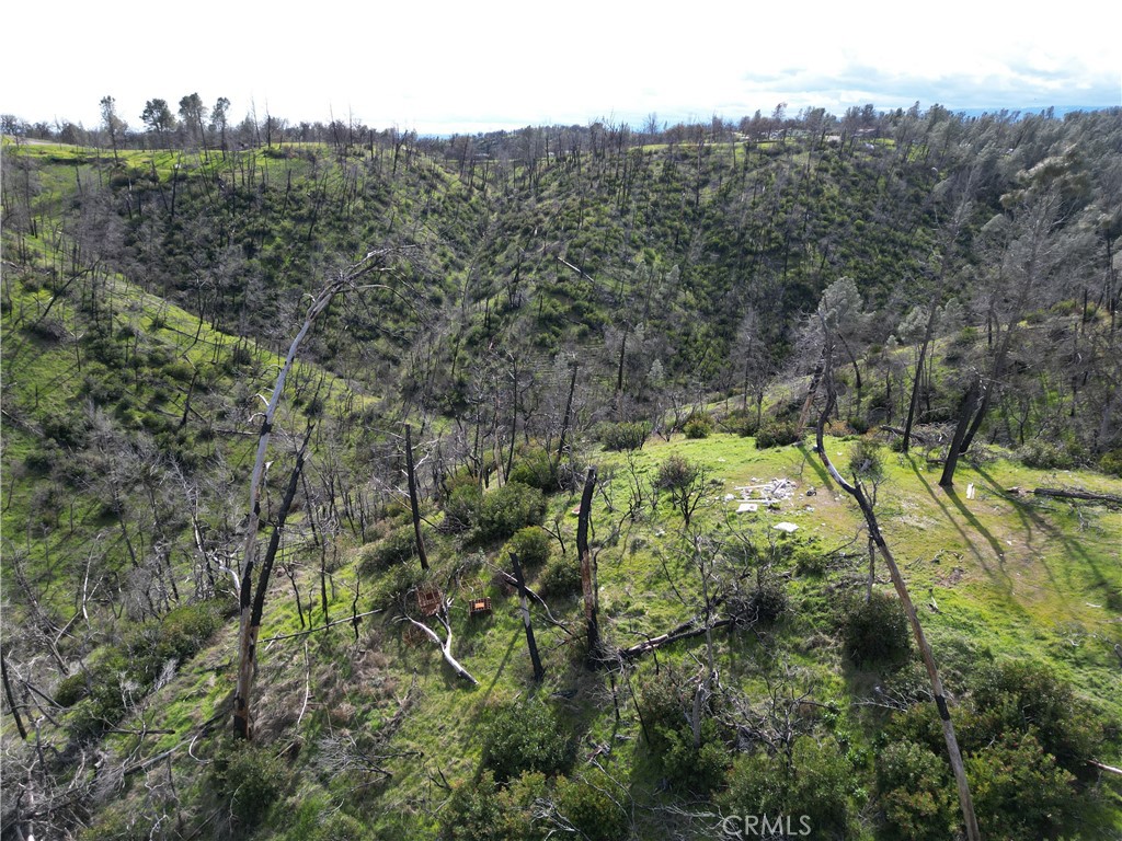 7074 Sugar Pine Court Corning, CA 96021 - Photo 7 of 25 a view of a forest