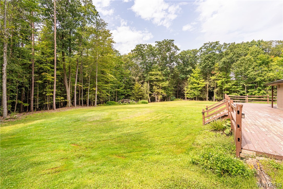 9852 Larkin Road Eden, NY 14057 - Photo 41 of 46 Gallery Image 41