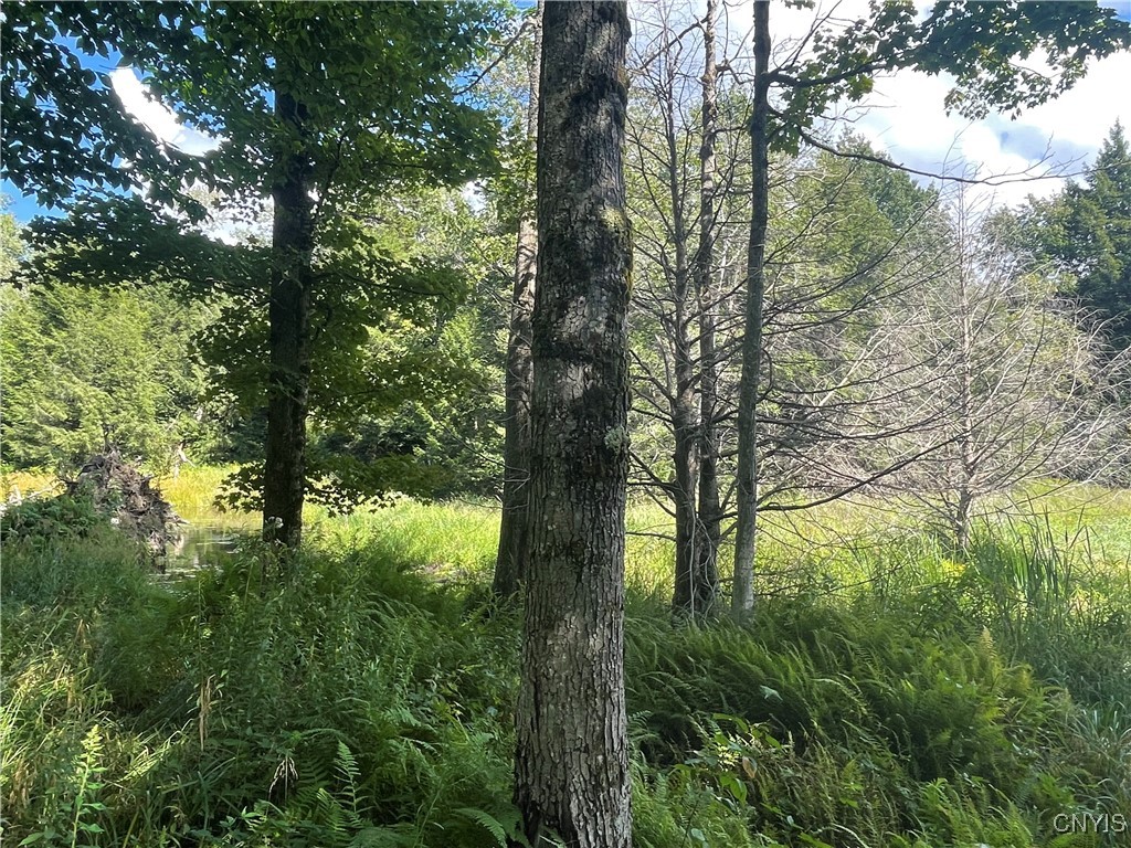 0 Beecher Road Boonville, NY 13309 - Photo 11 of 16