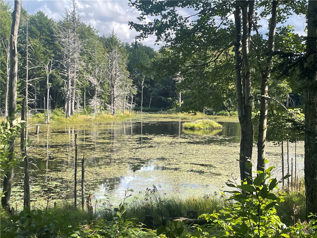 0 Beecher Road Boonville, NY 13309 - Photo 13 of 16