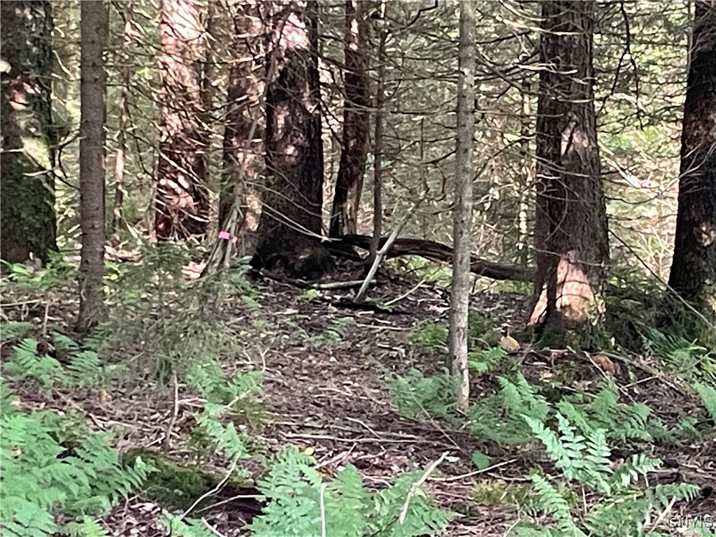 0 Beecher Road Boonville, NY 13309 - Photo 14 of 16