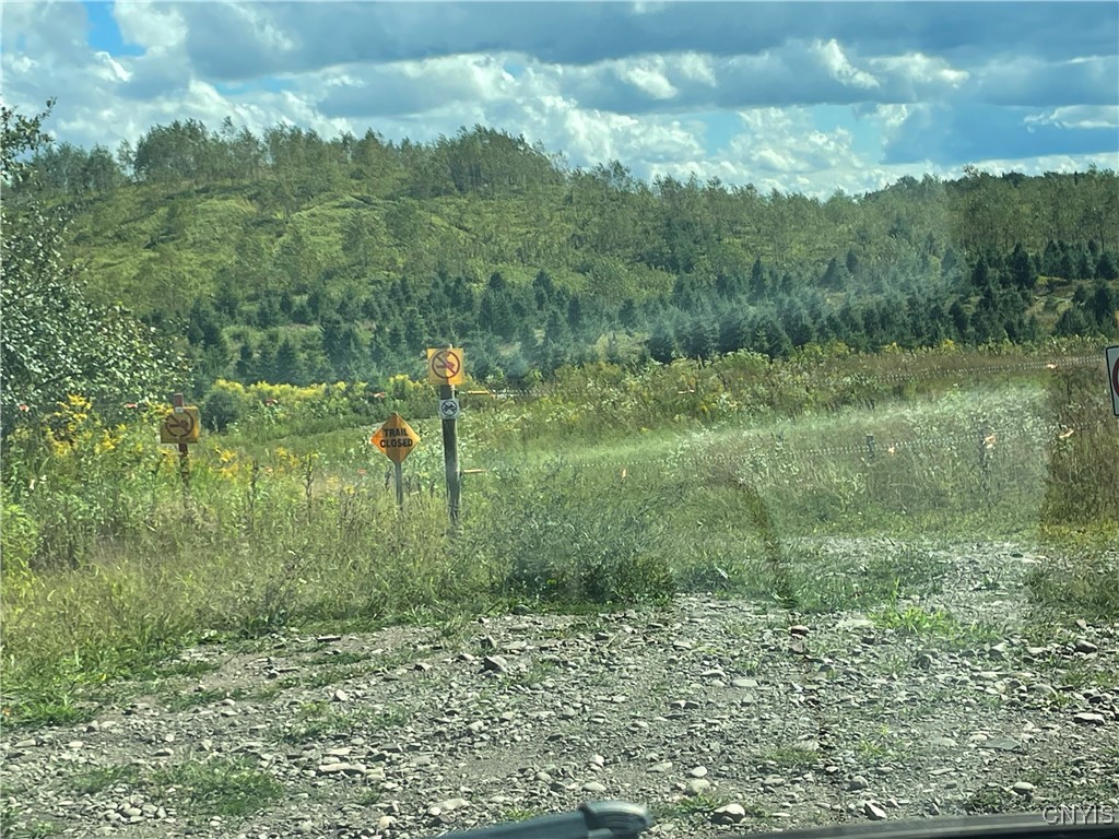 0 Beecher Road Boonville, NY 13309 - Photo 15 of 16