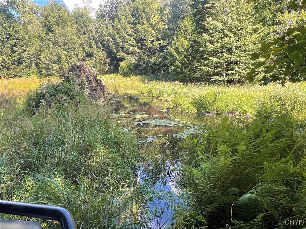 0 Beecher Road Boonville, NY 13309 - Photo 16 of 16