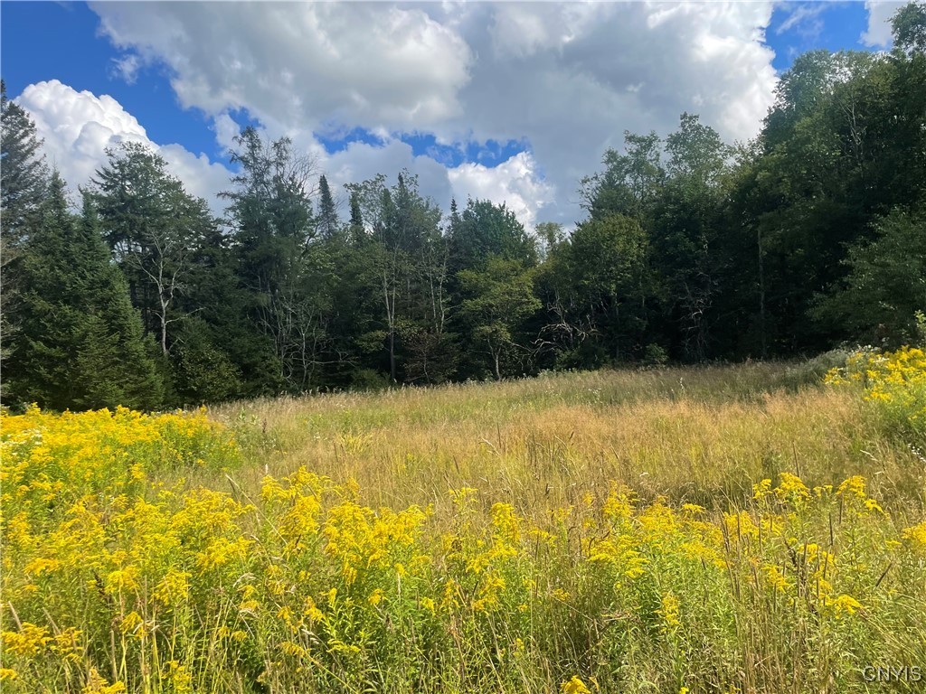 0 Beecher Road Boonville, NY 13309 - Photo 2 of 16