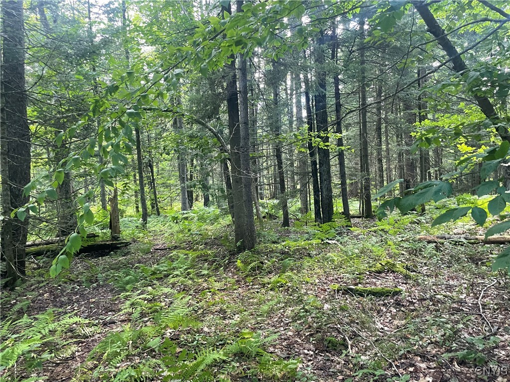 0 Beecher Road Boonville, NY 13309 - Photo 6 of 16