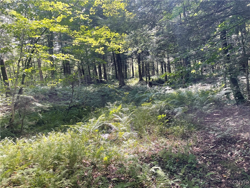 0 Beecher Road Boonville, NY 13309 - Photo 8 of 16