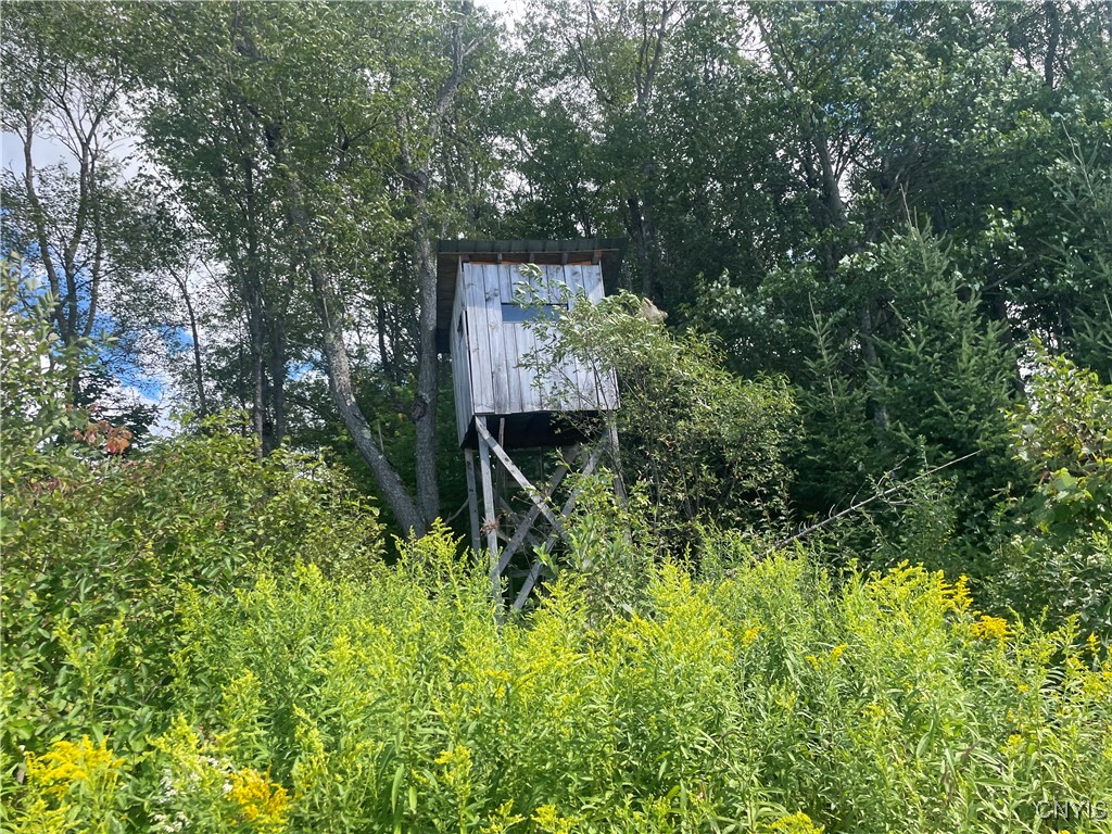 0 Beecher Road Boonville, NY 13309 - Photo 9 of 16