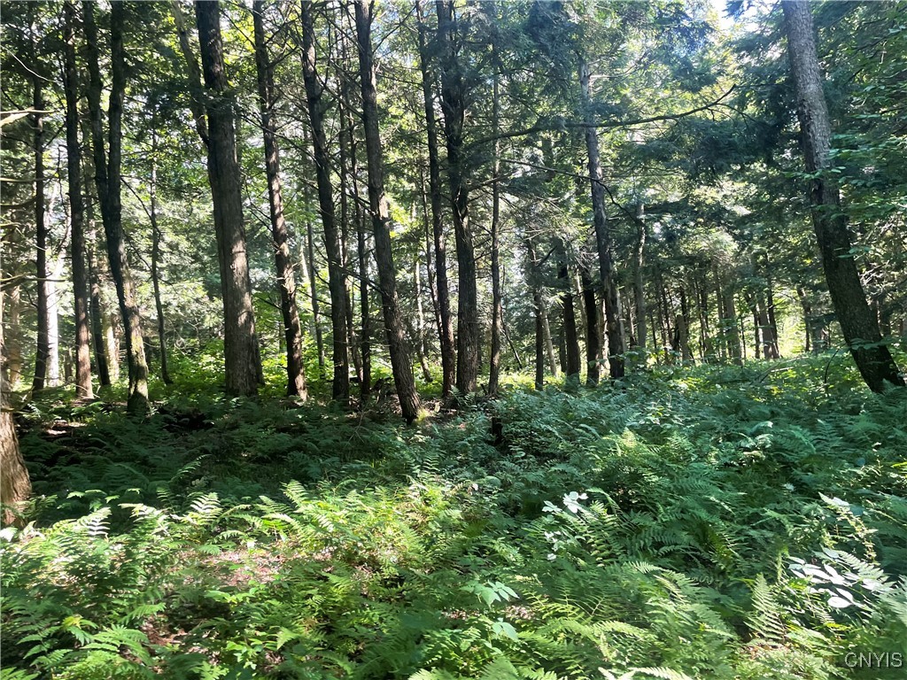 0 Beecher Road Boonville, NY 13309 - Photo 10 of 16