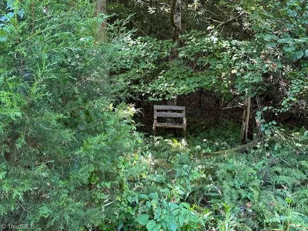 $33,000 | 60 Jonathan Drive, Lowgap, NC 27024