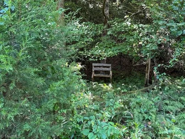 $33,000 | 60 Jonathan Drive, Lowgap, NC 27024