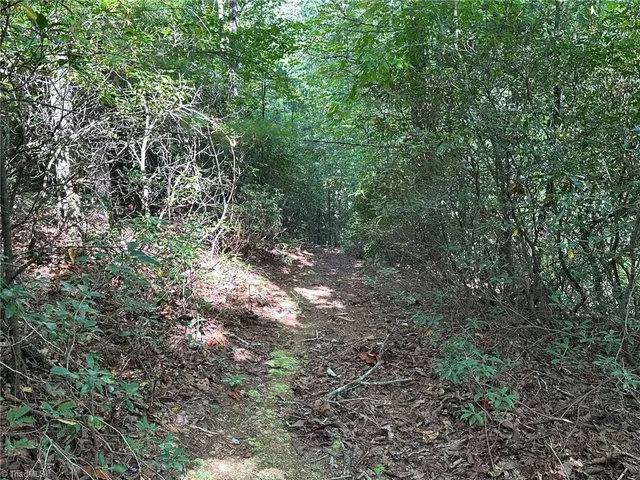 $33,000 | 60 Jonathan Drive, Lowgap, NC 27024