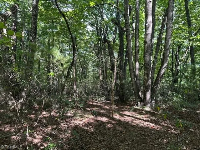 $33,000 | 60 Jonathan Drive, Lowgap, NC 27024