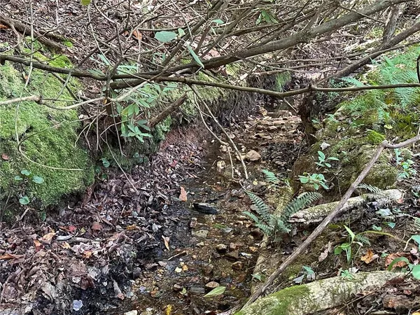 $33,000 | 60 Jonathan Drive, Lowgap, NC 27024