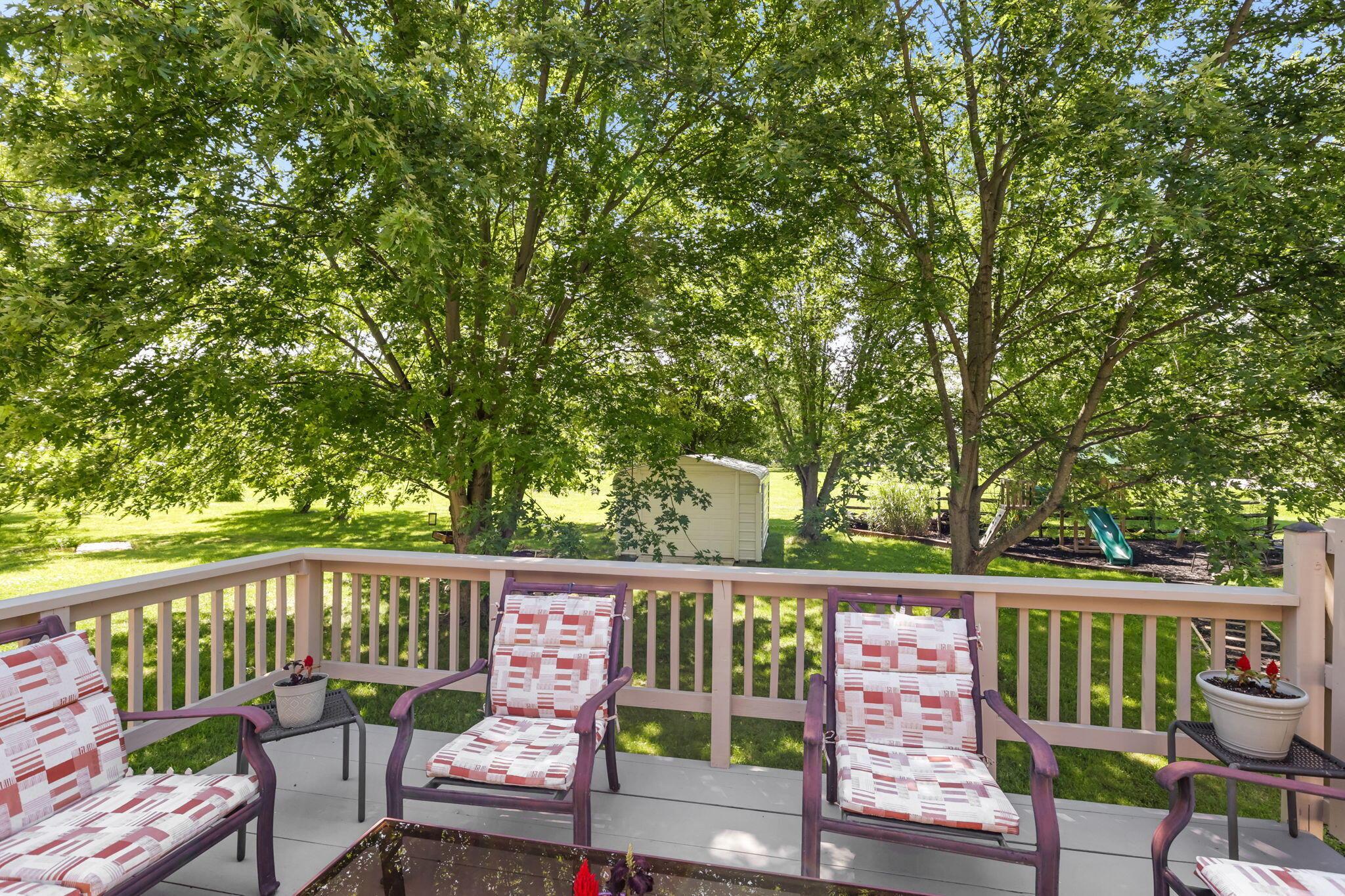 10221 Brock Road Plain City, OH 43064 - Photo 46 of 61 47-web-or-mls-4E7A8654