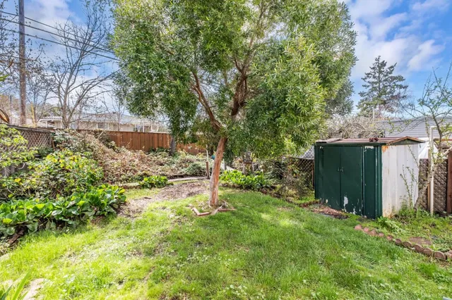 a view of backyard with potted plants and large trees