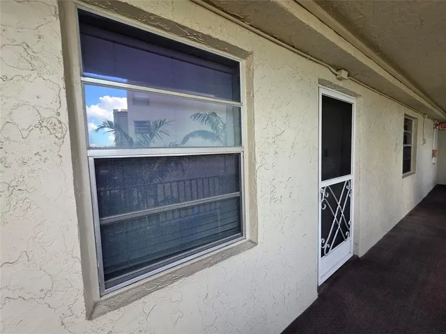 a plant that is in front of a window