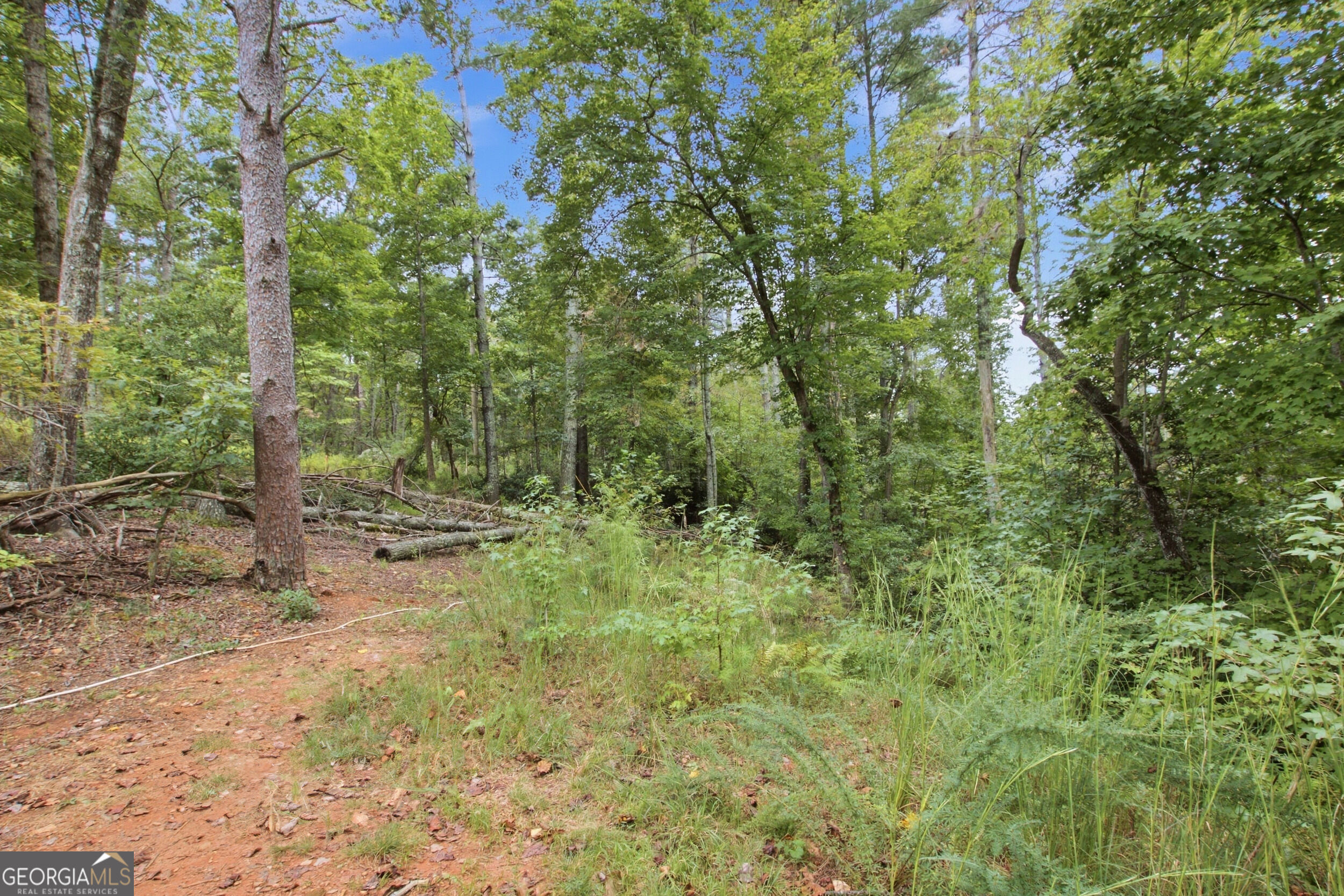 1582 Jennys Cove Road Cleveland, GA 30528 - Photo 20 of 27 Gallery Image 20