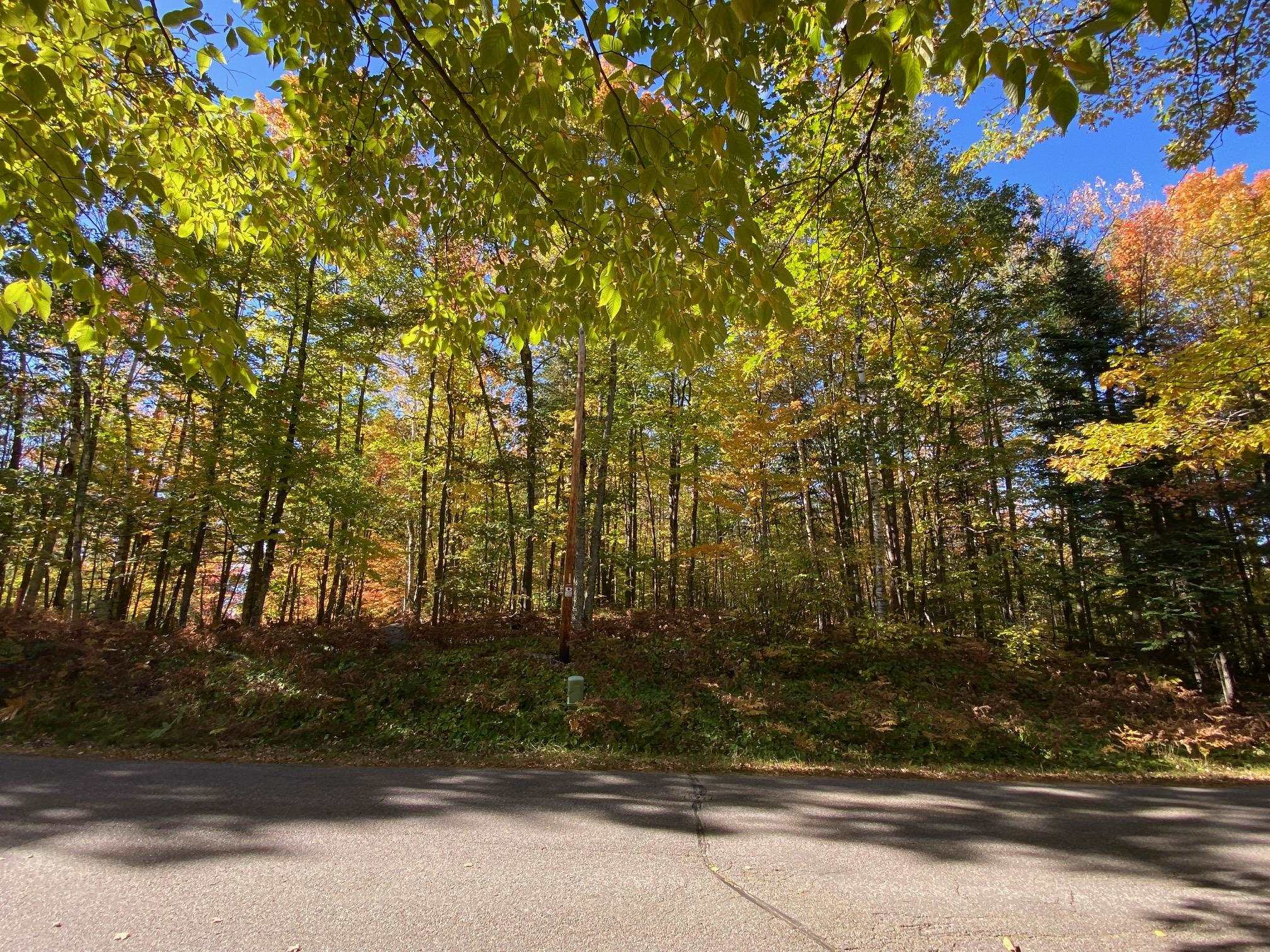 On Lake Julia Road Rhinelander, WI 54501 - Photo 1 of 1 Gallery Image 1