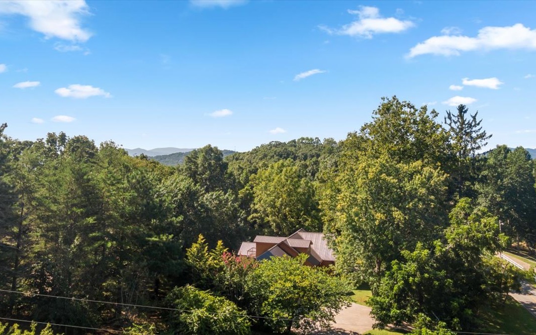 2031 Old Highway 5 Blue Ridge, GA 30513 - Photo 70 of 73 Additional View