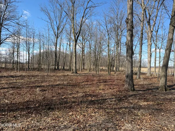 $28,500 | Elmwood Drive, Sherwood, OH 43556