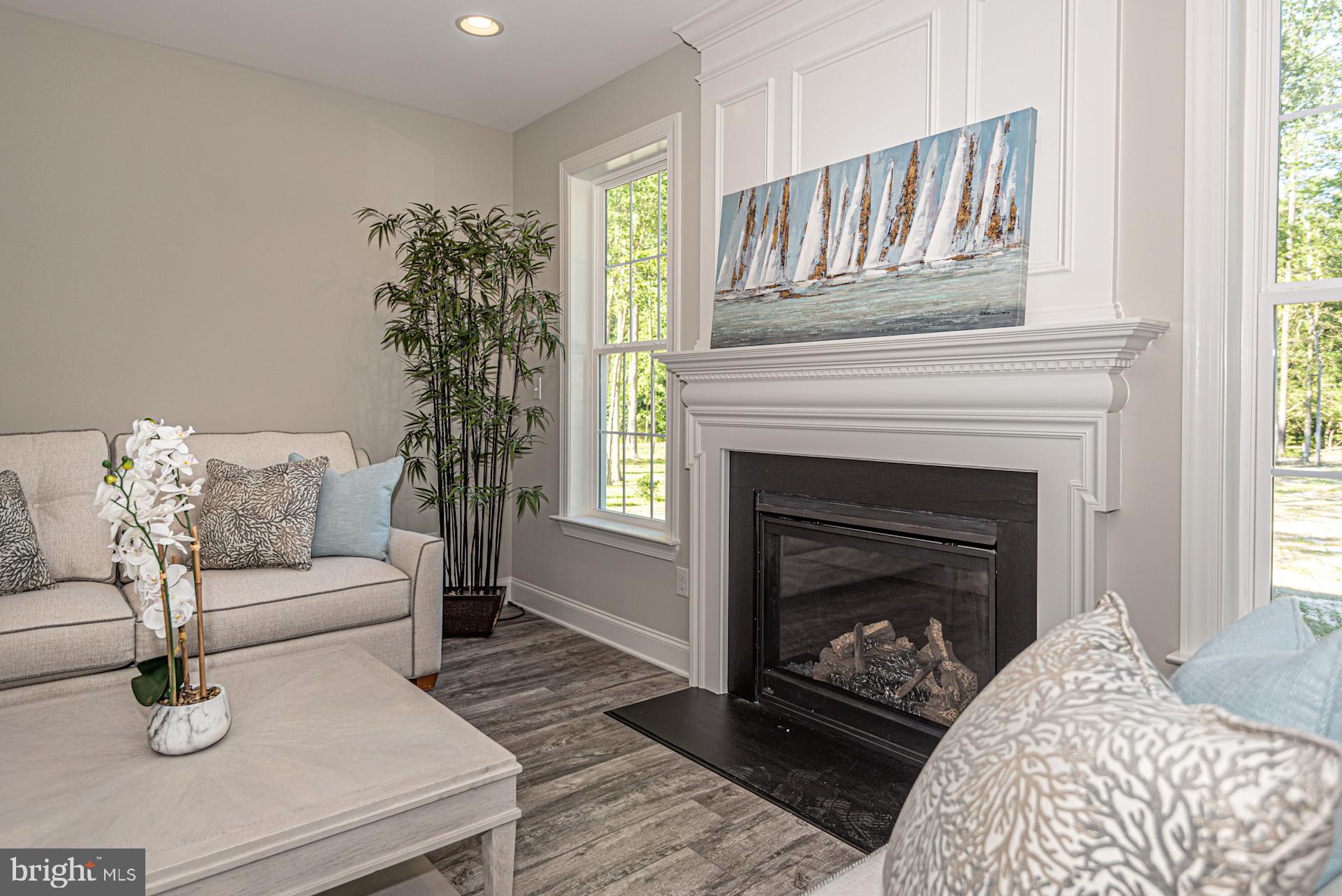 2 Mt Joy Road Millsboro, DE 19966 - Photo 14 of 14 a living room with furniture and a fireplace