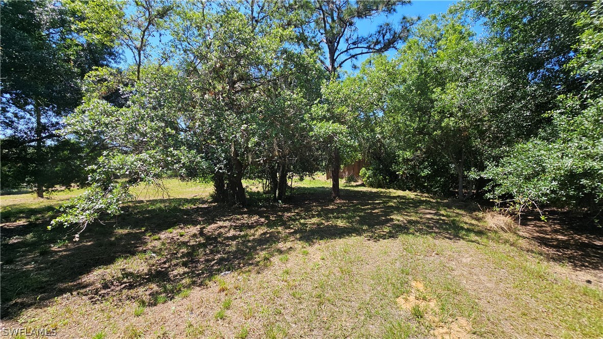 1514 Deer Run LaBelle, FL 33935 - Photo 11 of 18 a view of a tree in front of a yard