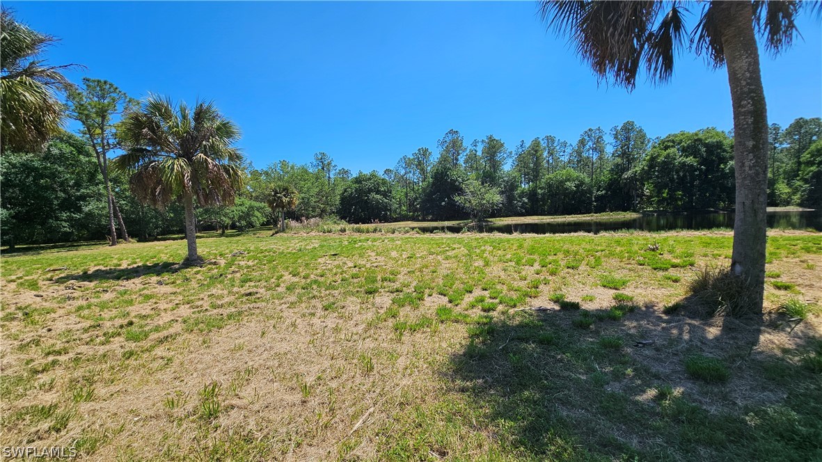 1514 Deer Run LaBelle, FL 33935 - Photo 12 of 18 a view of a large trees with a yard