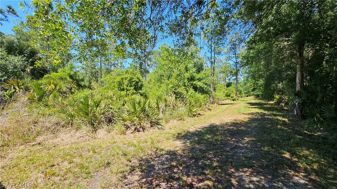 1514 Deer Run LaBelle, FL 33935 - Photo 8 of 18 a view of outdoor space with a trees