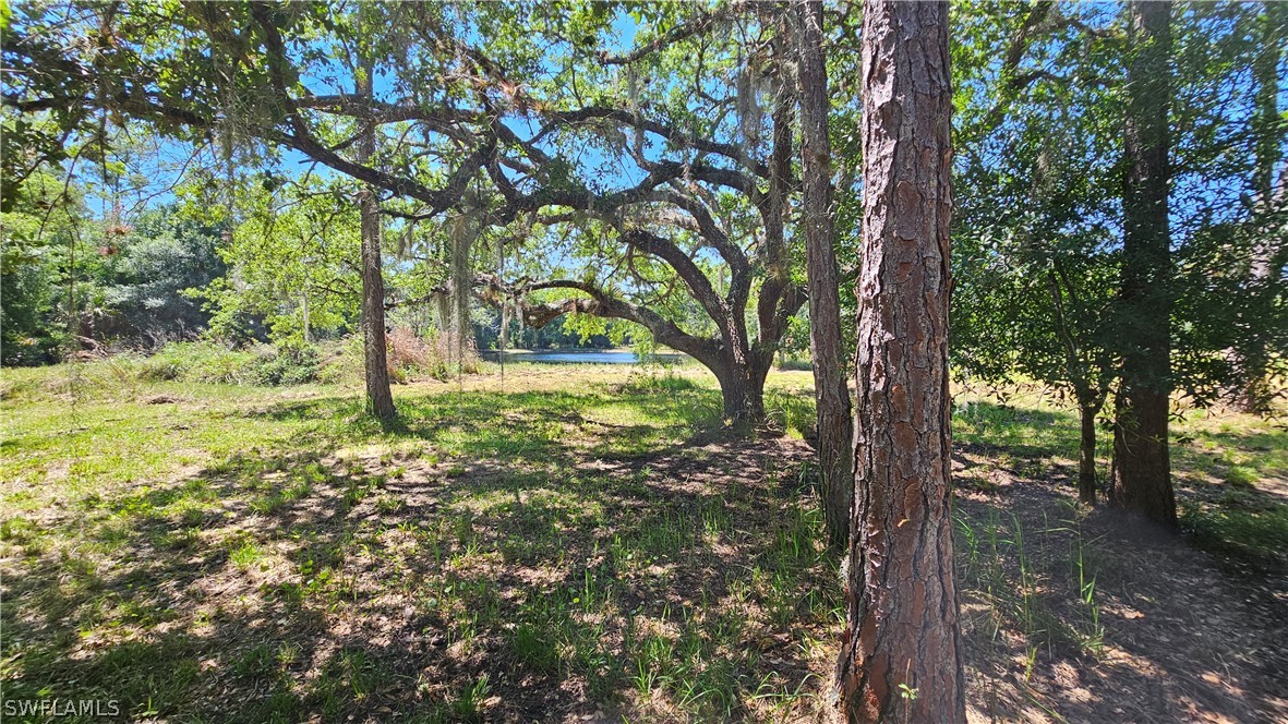 1514 Deer Run LaBelle, FL 33935 - Photo 10 of 18 a view of a tree in a yard