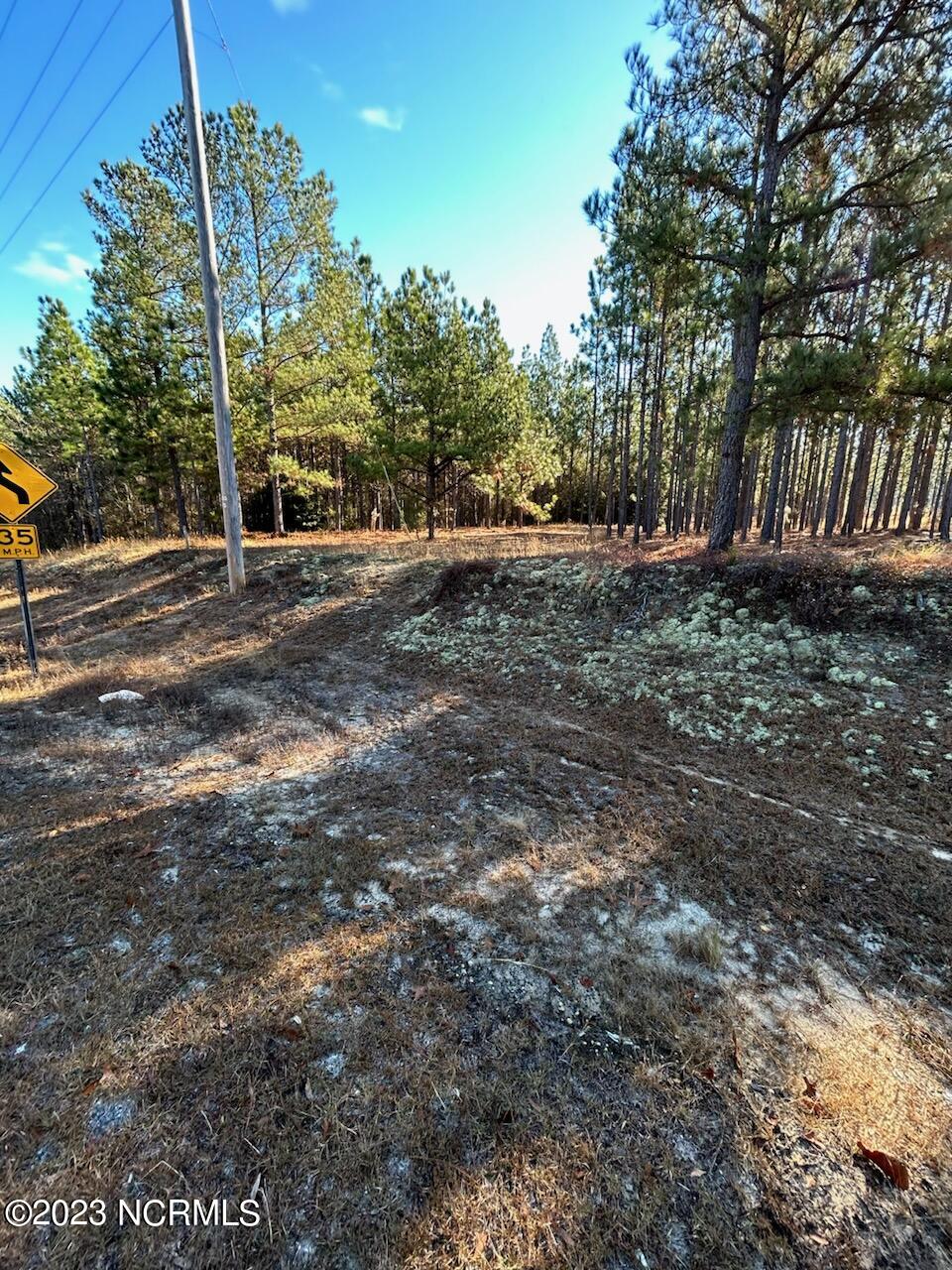Tbd McDonald Church Road Rockingham, NC 28379 - Photo 1 of 2 street view