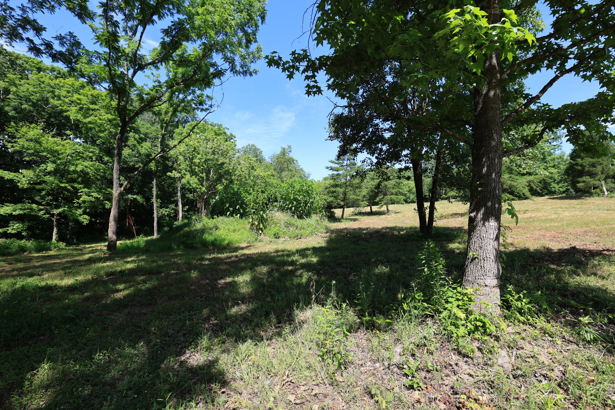 5 Poplar Ridge Lane Chapmansboro, TN 37035 - Photo 16 of 34