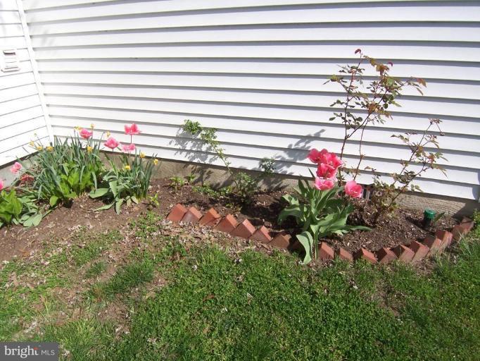 7771 West Shore Road Pasadena, MD 21122 - Photo 13 of 21 Other #2