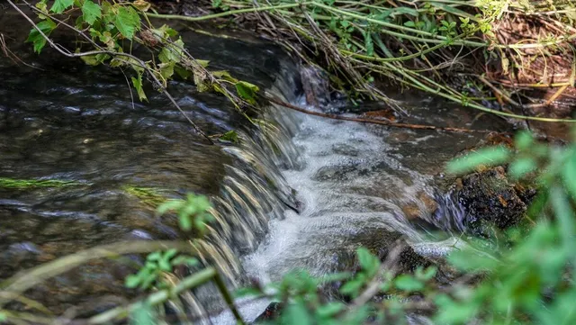 $375,000 | 0 Hwy 16/hamlet Avenue, Sparta, WI 54656