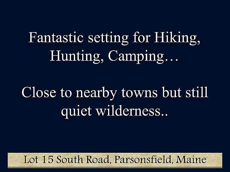 Lot 15 South Road Parsonsfield, ME 04047 - Photo 7 of 23 Other.