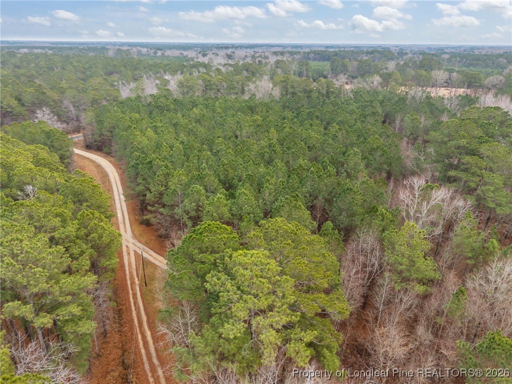 Tbd East Reeves Bridge Road Linden, NC 28356 - Photo 15 of 15 Gallery Image 15