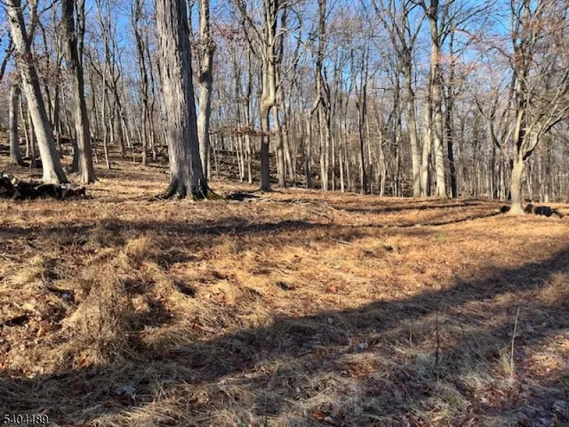 a view of a backyard of the house