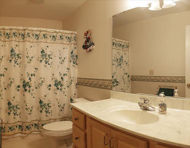 3144 Dean Road Lambertville, MI 48144 - Photo 11 of 14 Main Bathroom