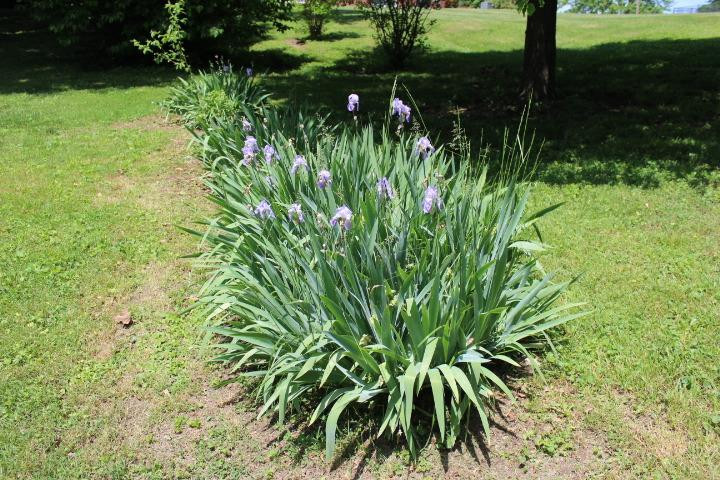 217 Peachbloom Hill Road Berea, KY 40403 - Photo 33 of 40 Listing Photo