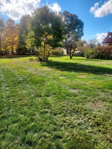 a view of a green yard