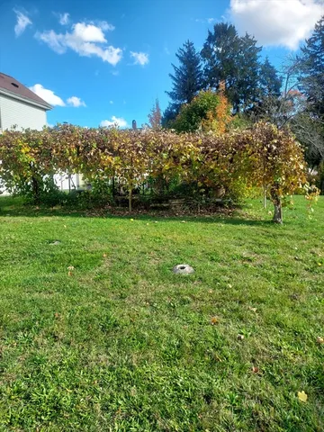 a view of a field of grass and trees